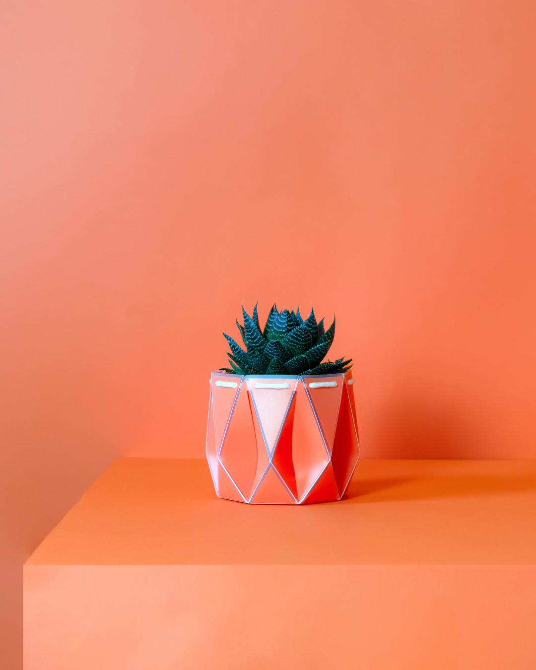 Self watering POTR Pot - Coral