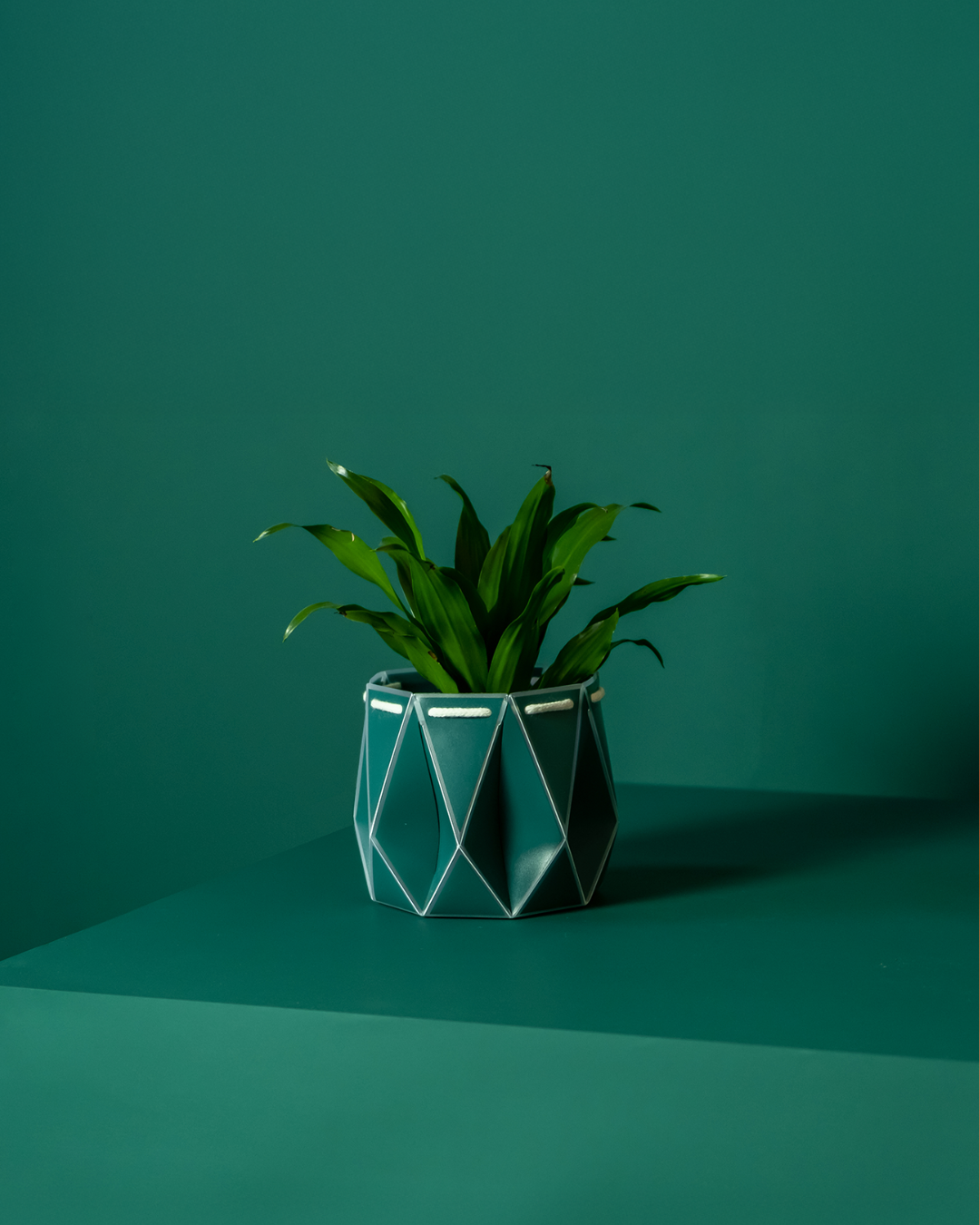 Self watering POTR Pot - Dark Teal