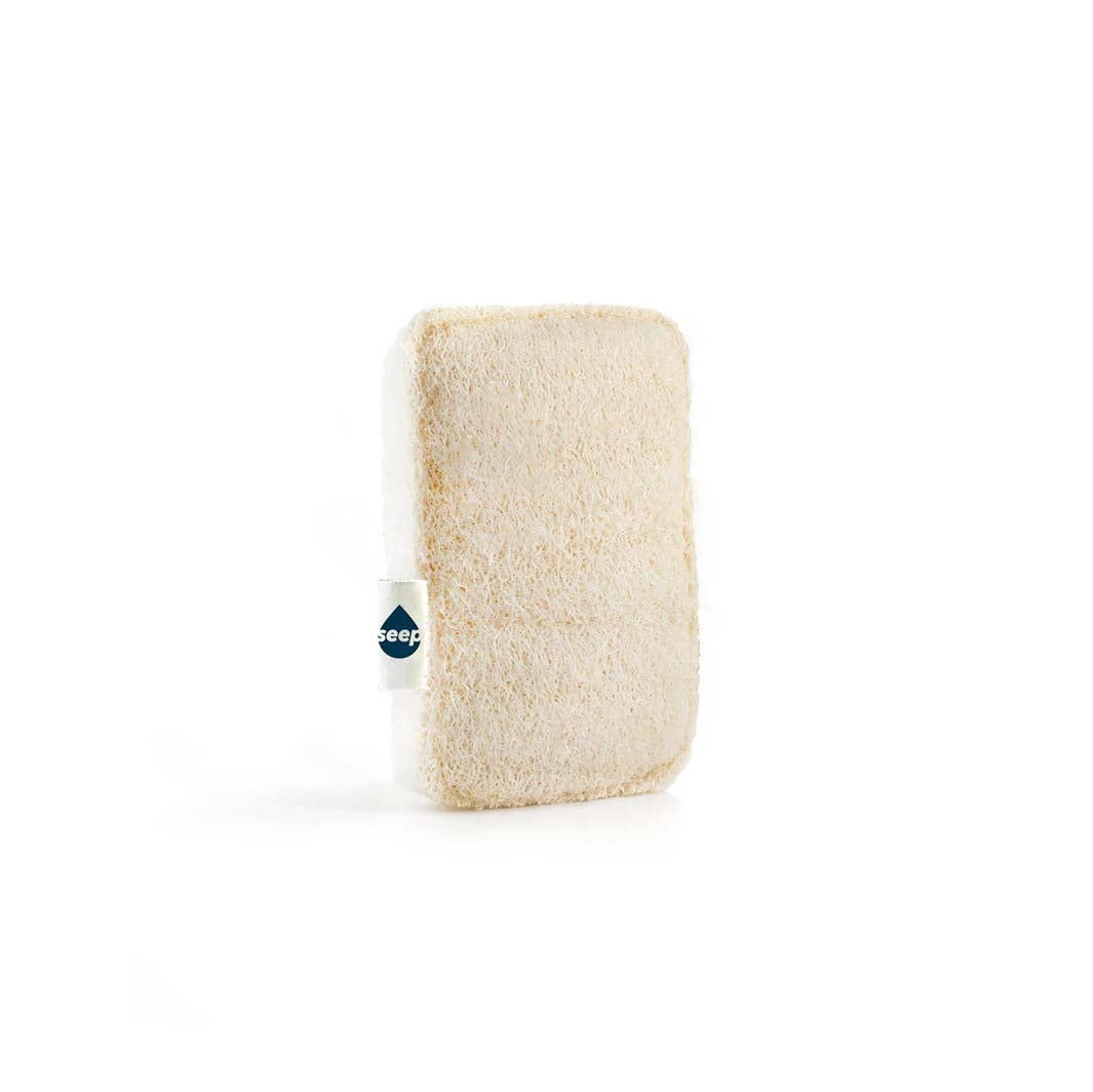 Compostable Sponge With Scourer